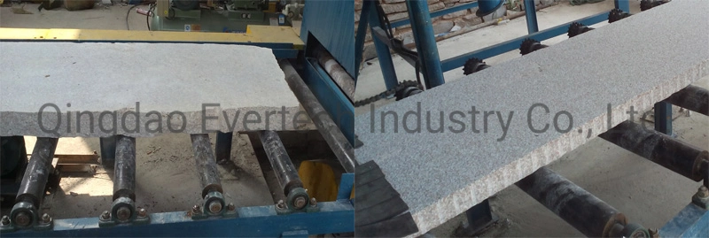 Roller Conveyor Stone Marble Granite Shot Blasting Machine for Sale
