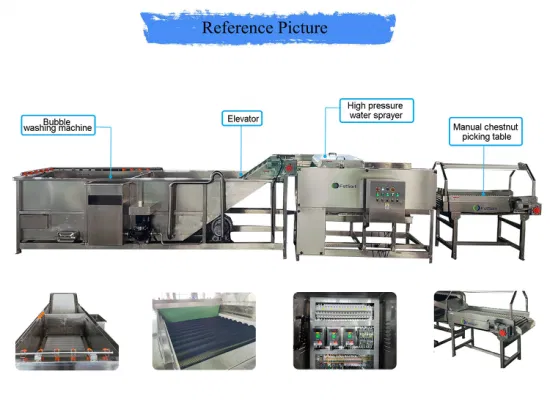 Vegetable Washing Machine Manufacturers Vegetable Processing Equipment Potato Cleaning Picking System
