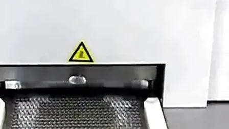 Dbc Firing Mesh Belt Furnace